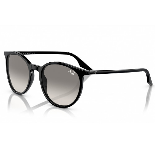 Óculos de Sol Ray-Ban RB2204 901 32 Unissex Preto Lentes Cinza